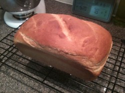 Plain Ole White Bread