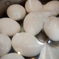 Hard Boiled Eggs