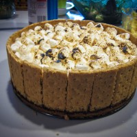 2013-06-15 – S’mores Ice Cream Cake